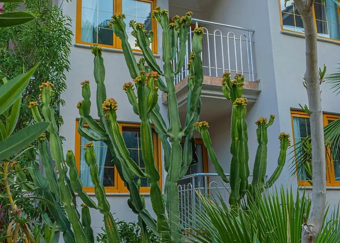 Dream Of Oludeniz Fethiye