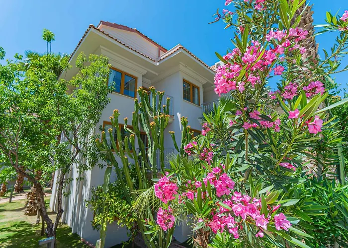 Hotel Dream Of Oludeniz