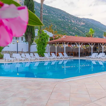 Dream Of Oludeniz *